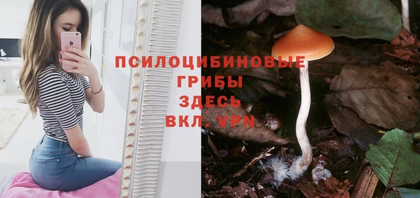 ПСИЛОЦИБИНОВЫЕ ГРИБЫ Алексеевка