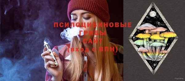 ПСИЛОЦИБИНОВЫЕ ГРИБЫ Алексеевка