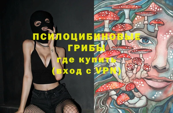 ПСИЛОЦИБИНОВЫЕ ГРИБЫ Алексеевка