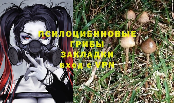 ПСИЛОЦИБИНОВЫЕ ГРИБЫ Алексеевка