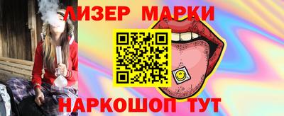 гидропоника Пенза