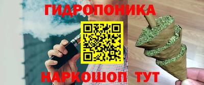 гидропоника Пенза