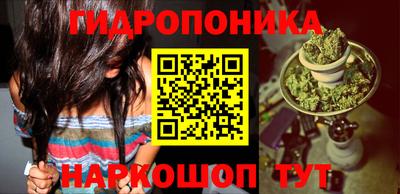 гидропоника Пенза