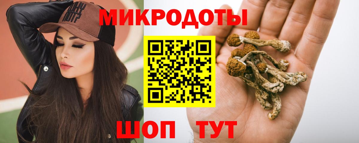 Псилоцибиновые грибы прущие грибы  Галлюциногенные грибы прущие грибы  Вход с VPN  Мегион 