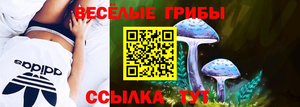 Галлюциногенные грибы Psilocybine cubensis Мегион